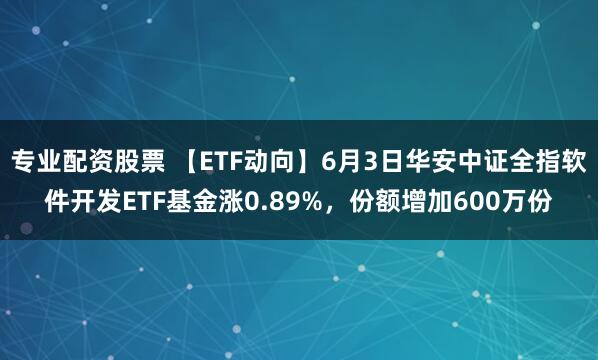专业配资股票 【ETF动向】6月3日华安中证全指软件开发ETF基金涨0.89%，份额增加600万份
